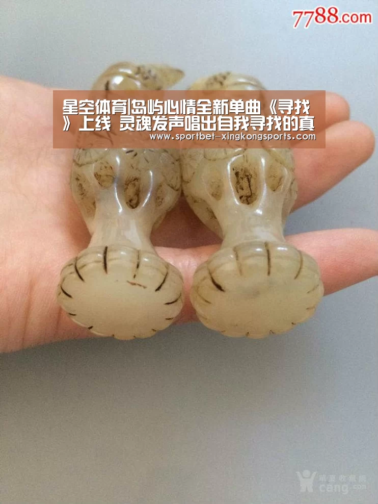 星空体育在线入口